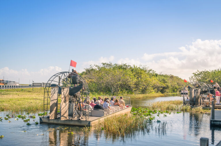 7 Best Airboat Tours Near Orlando FL You Must Try - Florida Trippers