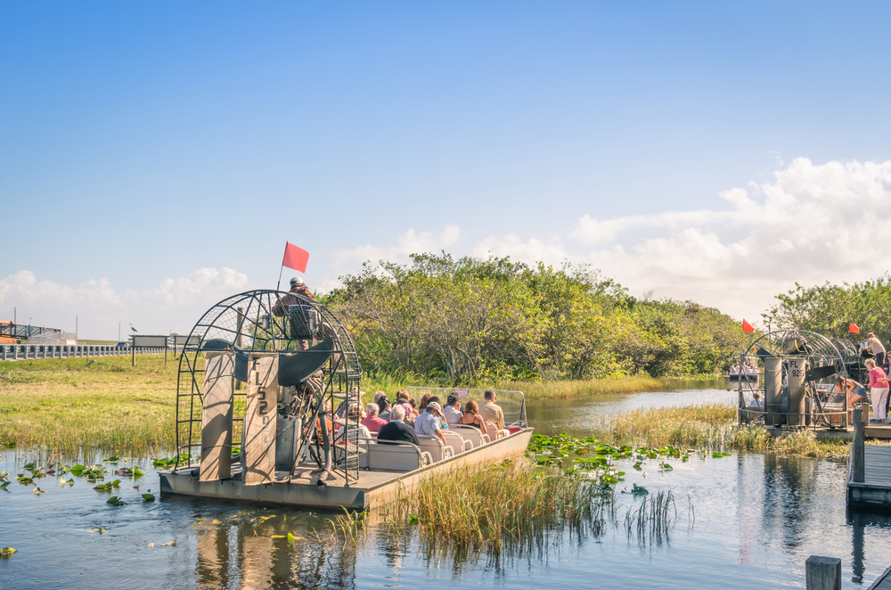 From the back of an airboat, we see two other airboats taking off down river canals in the marshes of central Florida. 