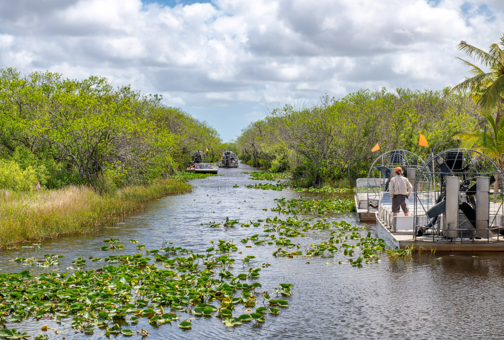 Three airboats navigate a canal in the everglades that is filled with vegetation: you can see things like this on the best airboat tours near Orlando. 