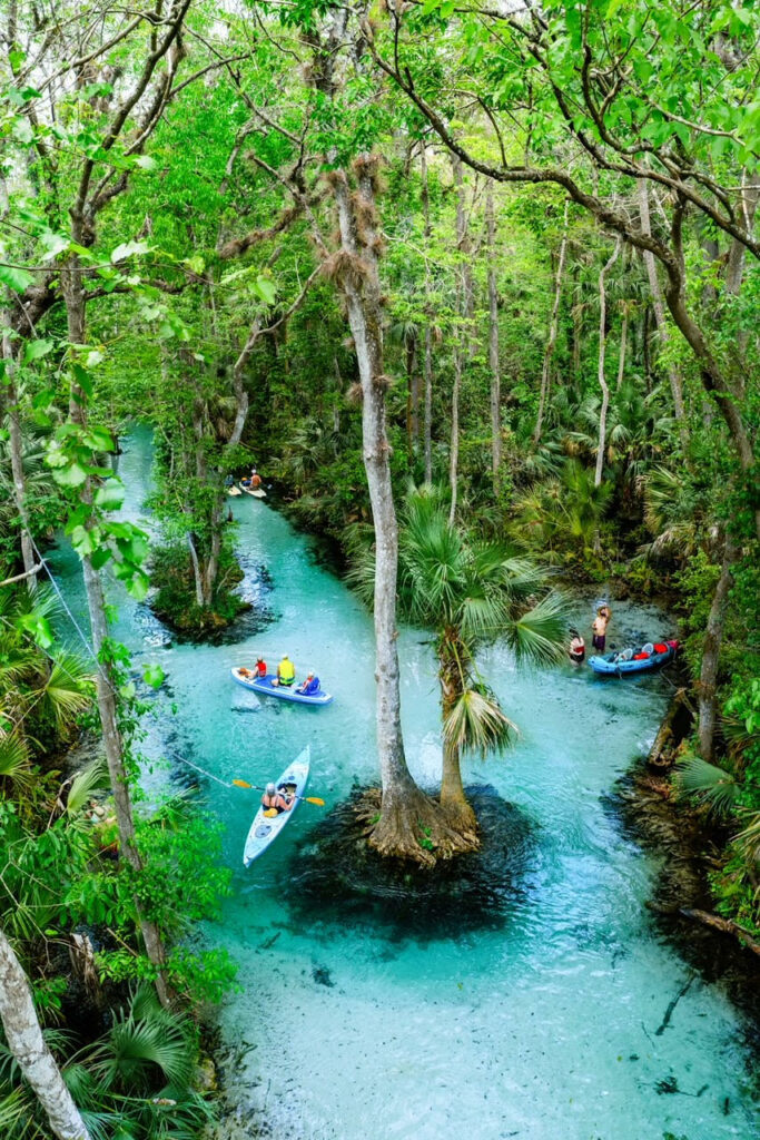 Picture taken from above of people kayaking in Orlando. The water is bright blue and there is lots of lush greenary. 
