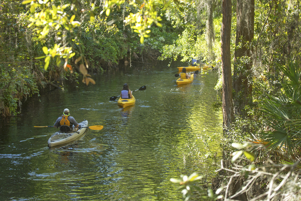 Group kayaking on the river at Shingle Creek Regional Park in Kissimmee, Florida in springtime. One of the best places for kayaking in Orlando
