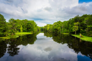 10 Best Places For Kayaking In Orlando (And Nearby!) - Florida Trippers