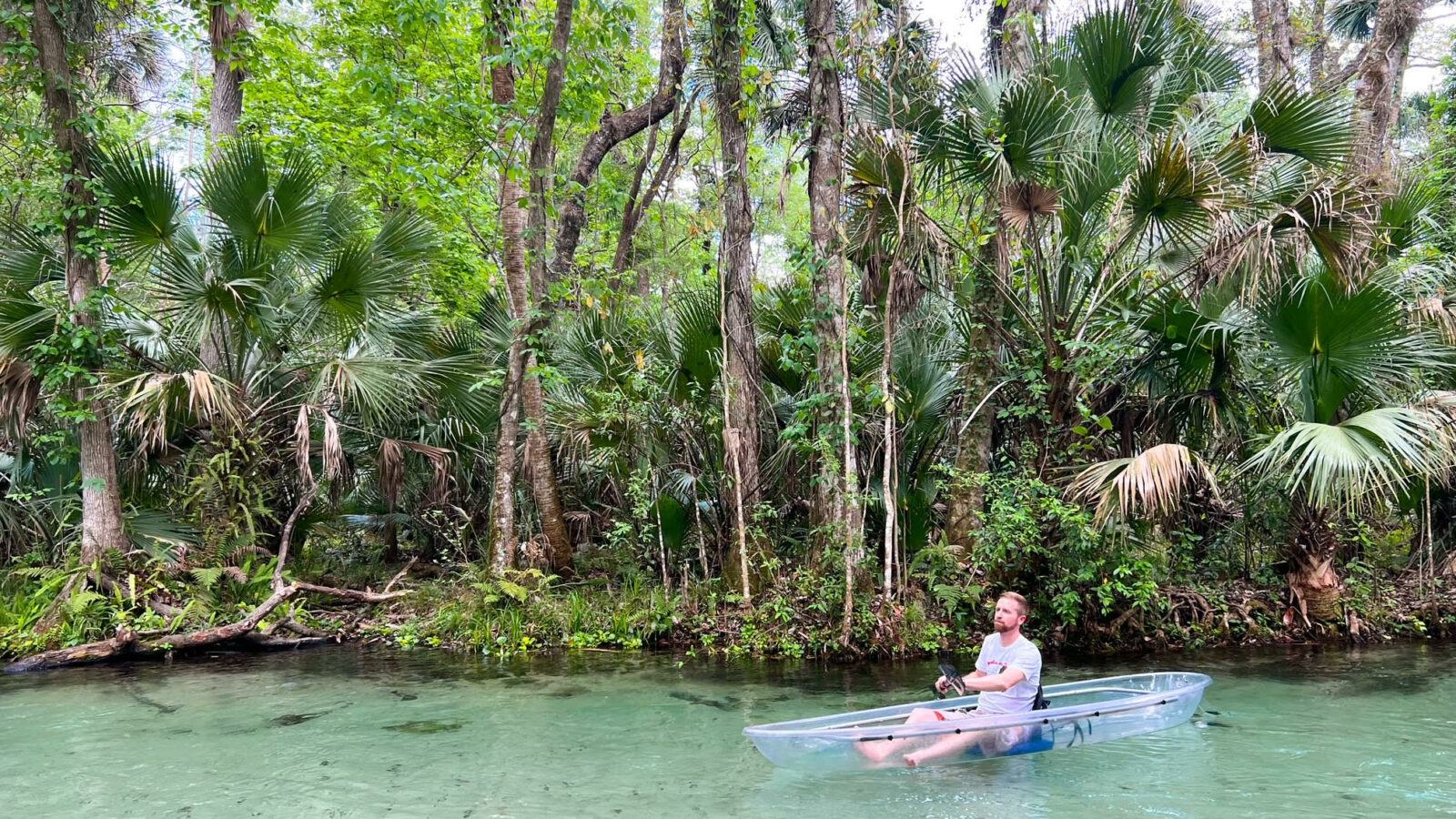 person kayaking in orlando in a clear kayak