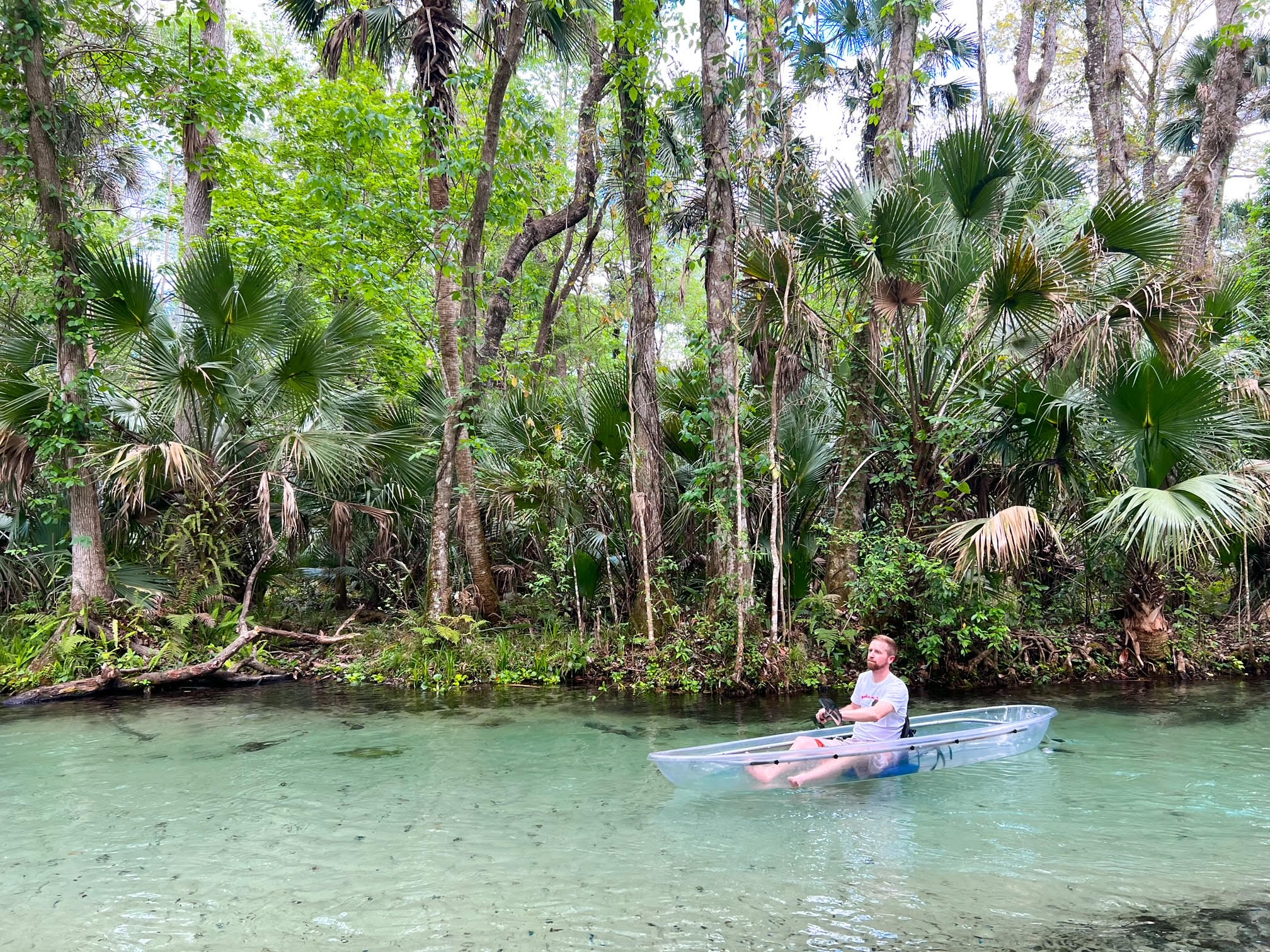 10 Best Places For Kayaking In Orlando (And Nearby!) Florida Trippers