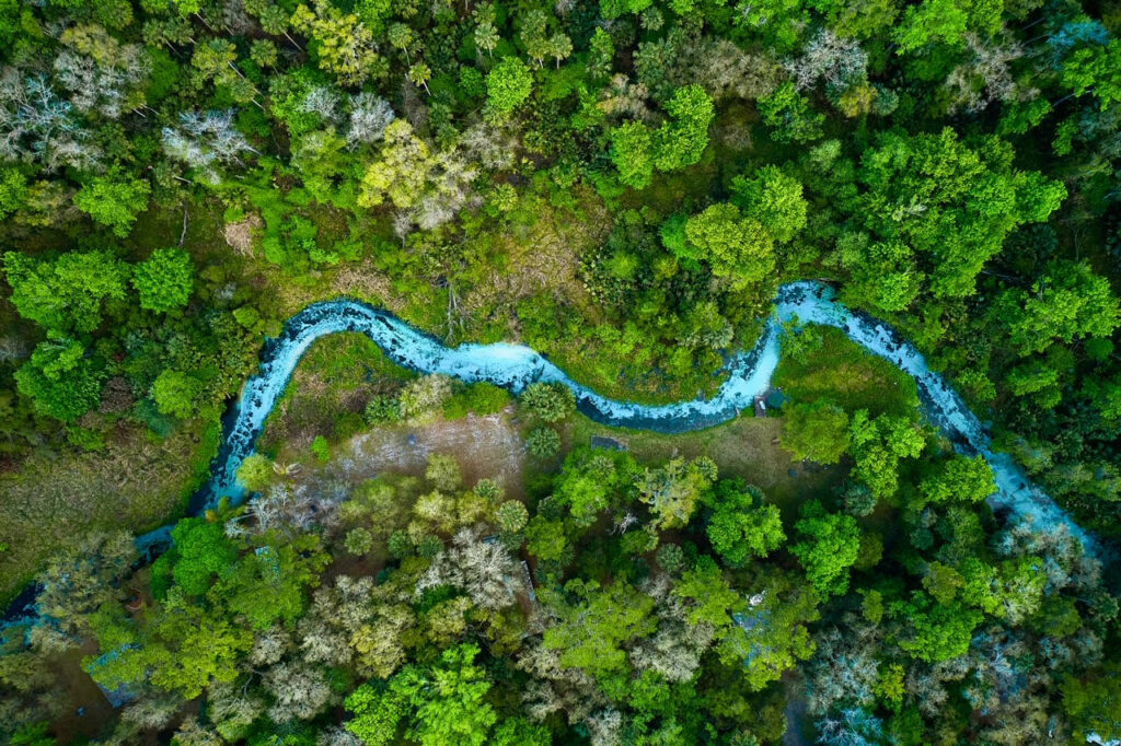 Picture taken from above of the Emerald Cut waterway running through the forest.  