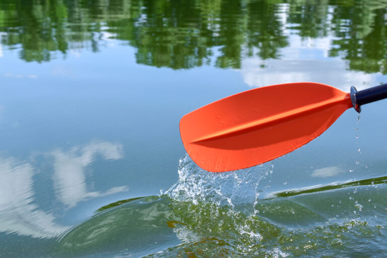 10 Best Places For Kayaking In Orlando (And Nearby!) Florida Trippers