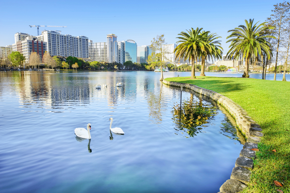 Lake Eola Park with two swans in the foreground. The Orlando skyline is in the background. 