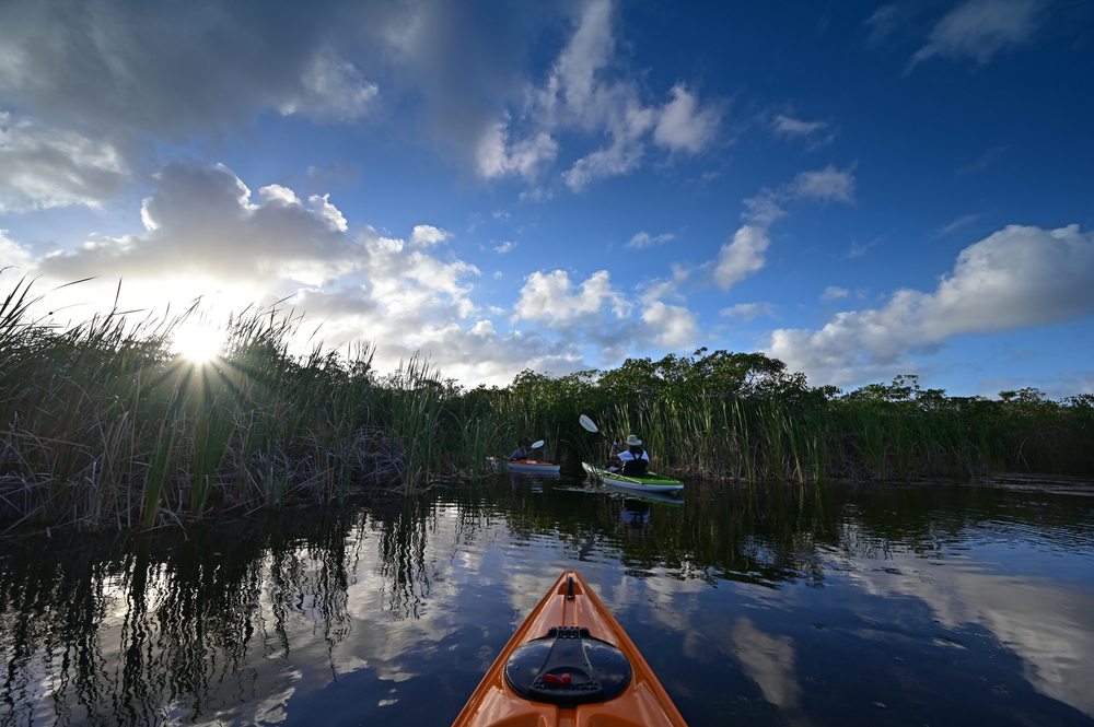 a group tour kayaking through biscayne national park