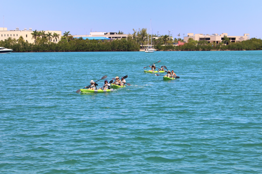 a kayaking tour in green kayaks in the ocean with the miami skyline in the backgground 