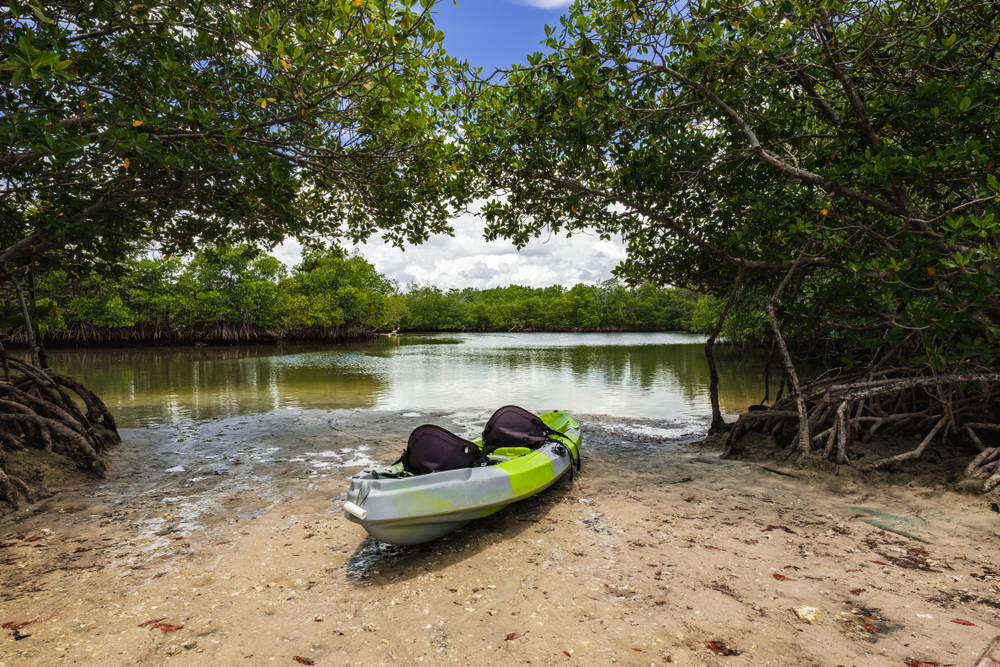 a green and grey kayak sitting on the sandy beach between mangroves at oleta river park