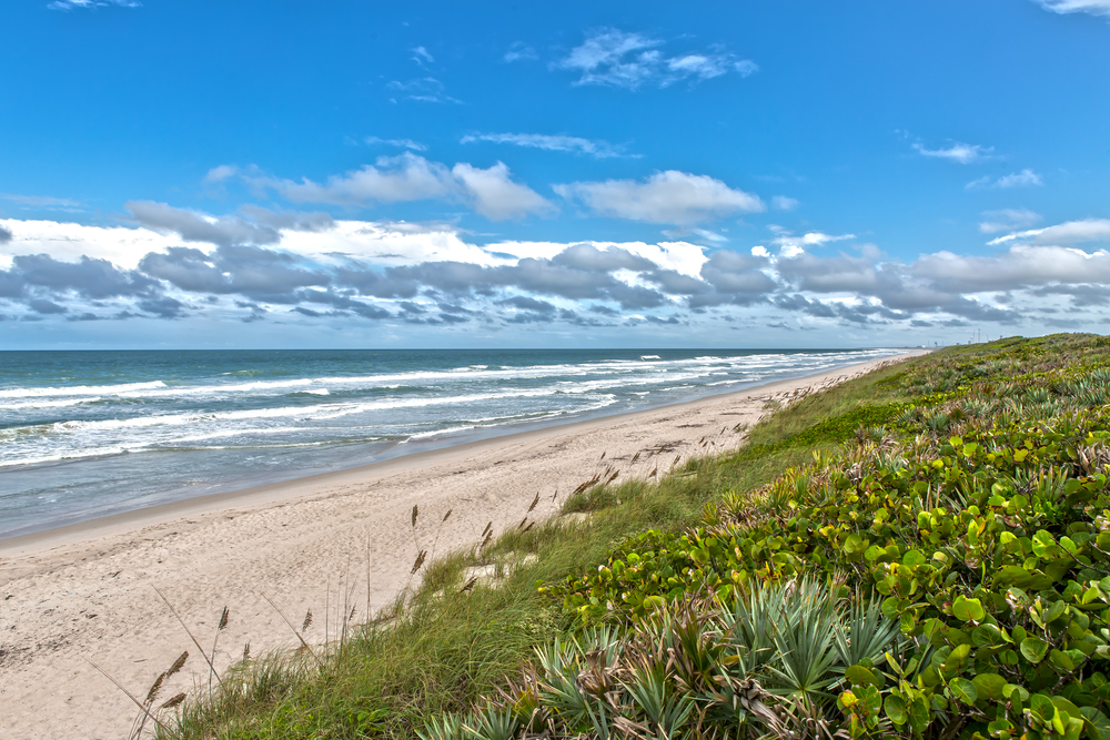 Beach at Canaveral National Seashore at Cape Canaveral. You can see the green bank leading down to the beach. Its one of the secluded Beaches In Florida
