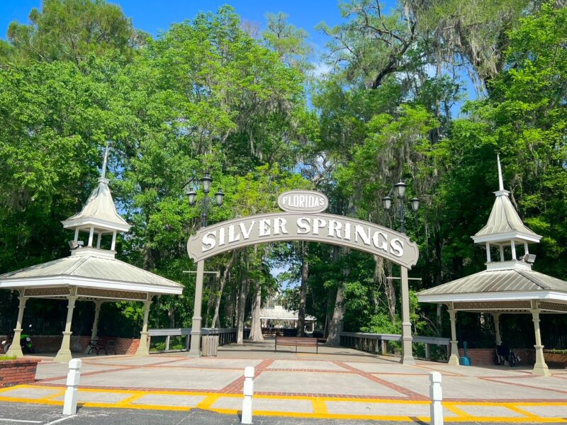 Silver Springs State Park: Things to Do, Glass Bottom Boats + Tips ...