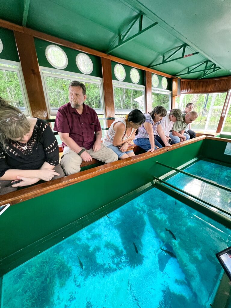 People gather on a glass bottom tour at Silver Springs to see the underwater world of fish, ecosystems and more.