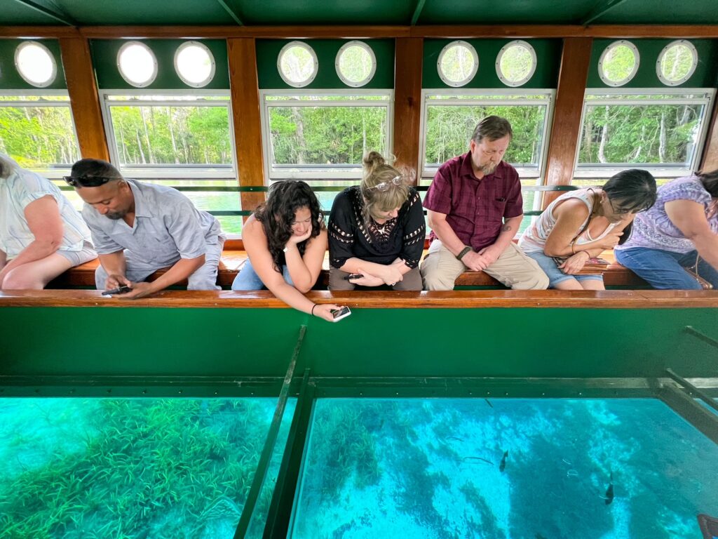 People sitting in a glass-bottom boat admiring the aquatic life underneath in Silver Springs.