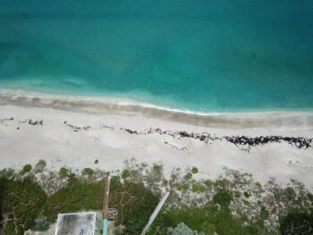 aerial view of a beach with sand and greenery best florida east coast islands
