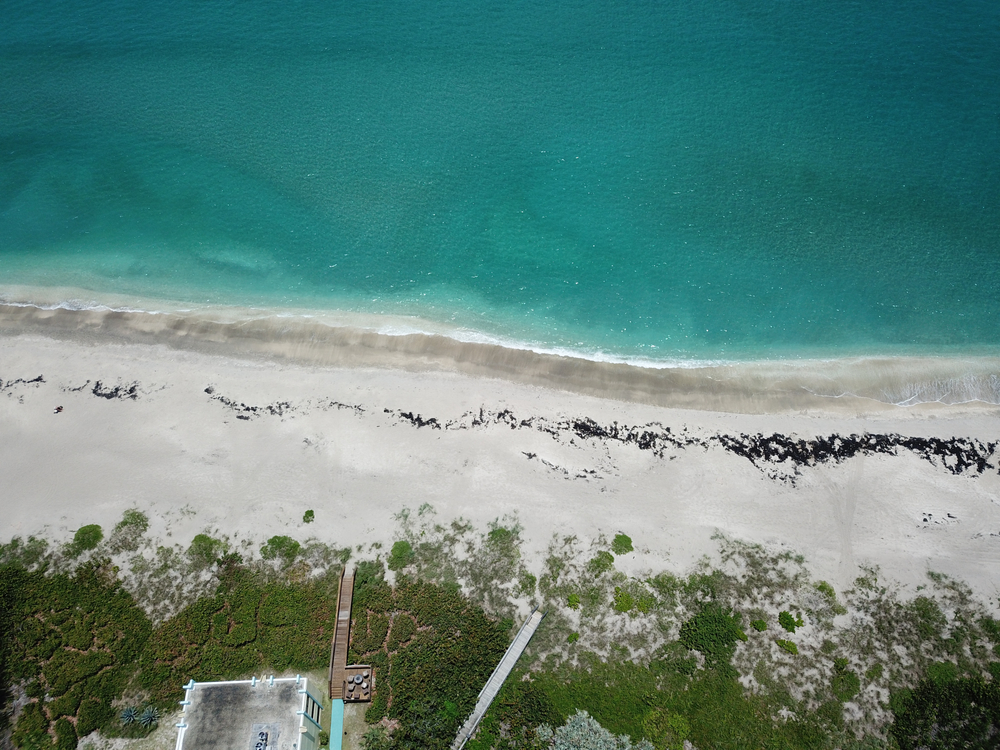 Exploring Floridian Beauty: Bird Key