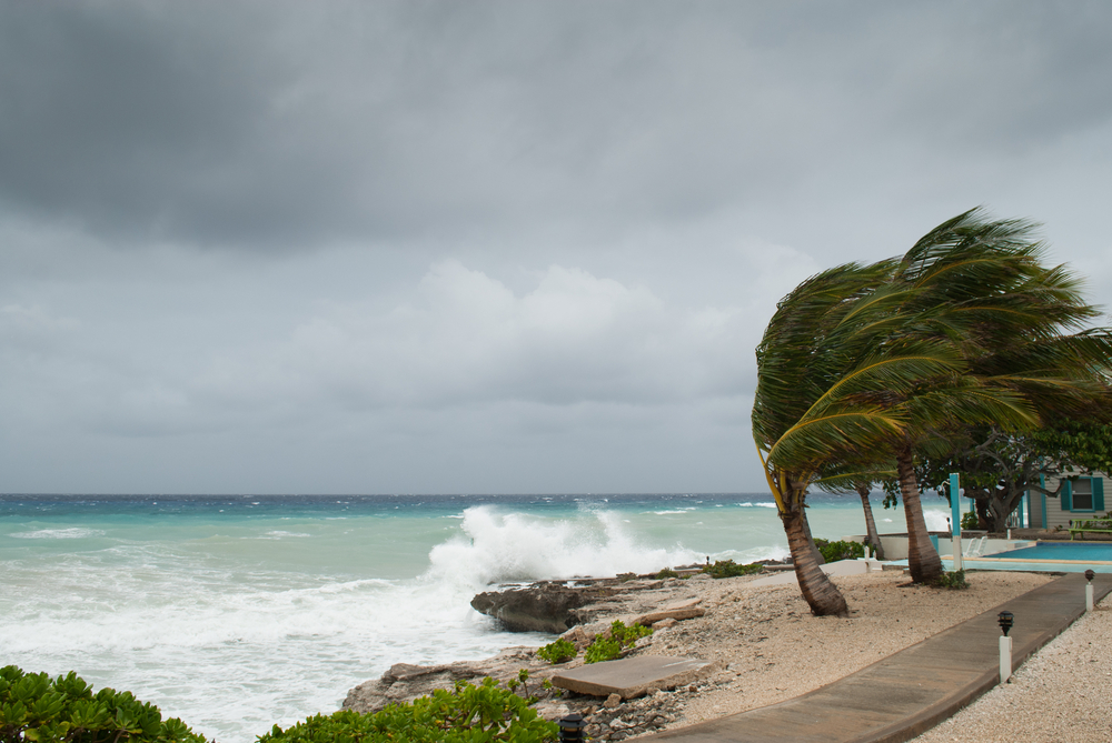 Waves crash against the coast and winds whip against palm trees during a hurricane in Florida. 