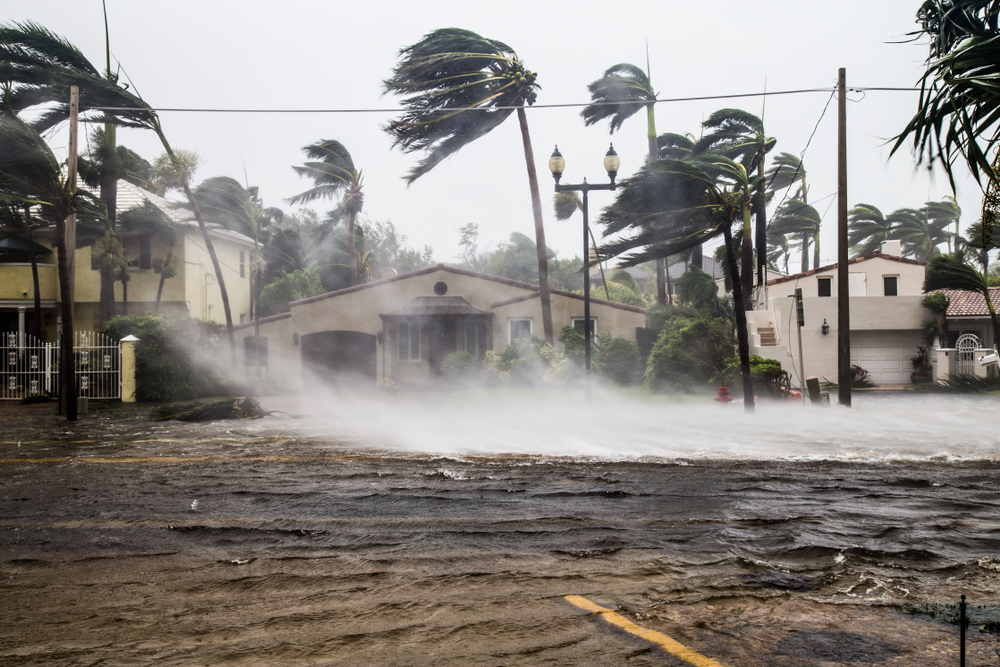 A hurricane rips through the streets of suburbia in Miami. Living in Miami means preparing for storms like this, as well as flooding. 