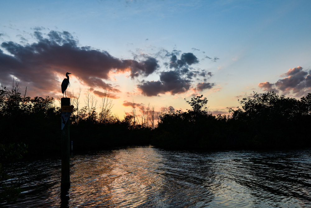 Sunset over the Banana River Aquatic Preserve with the silhouette of a bird.