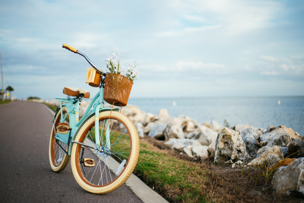 A blue and cream vintage bike, with a basket full of white flowers, on the side of a paved trail along a beach