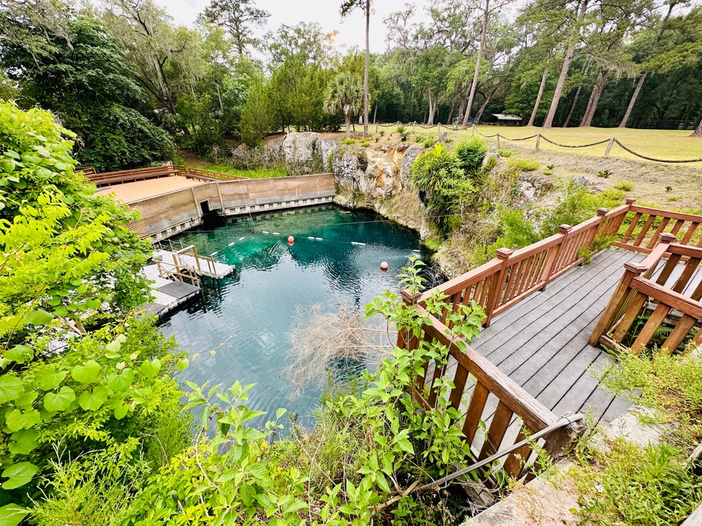 wooden pathways and rock faces with lush green trees and bushes all giving way to a sinkhole of deep teal waters featured at Blue Grotto, one of the best springs for diving in Florida.