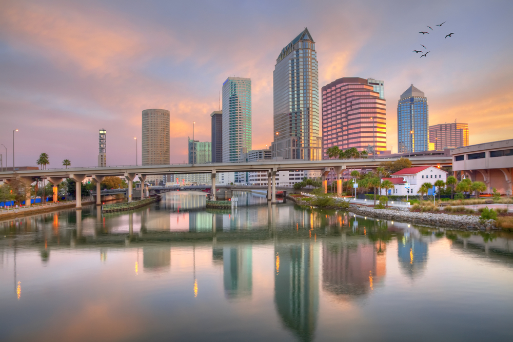 The buildings of Downtown Tampa Tower high above the river as the sun rises in the corner with birds flying in them. 