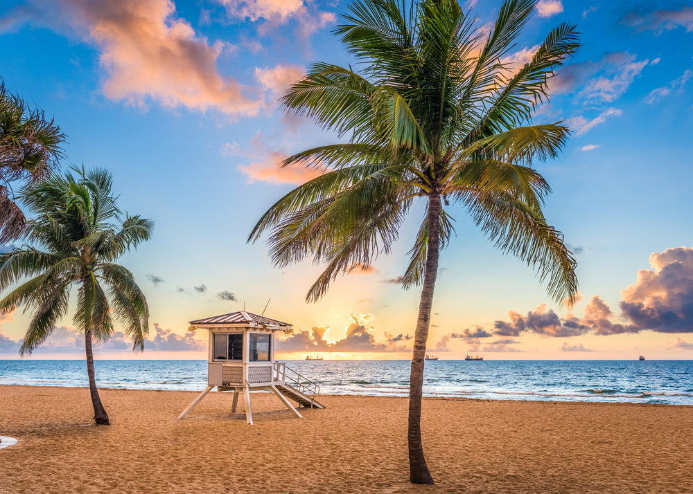 A sand shack sits beyond three palm trees in Fort Lauderdale, the soft light of the sunrise a strong contrast to the golden sand. 