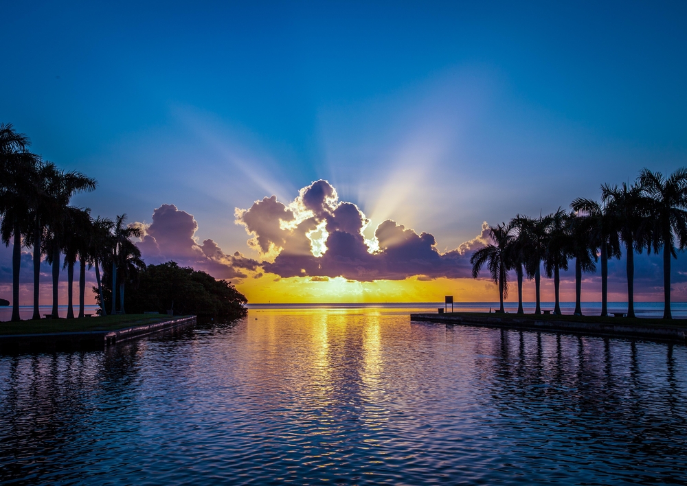 Palm trees line the edges of this photo as the sun rises behind a cloud in yellow hues on a purple and blue sky. 