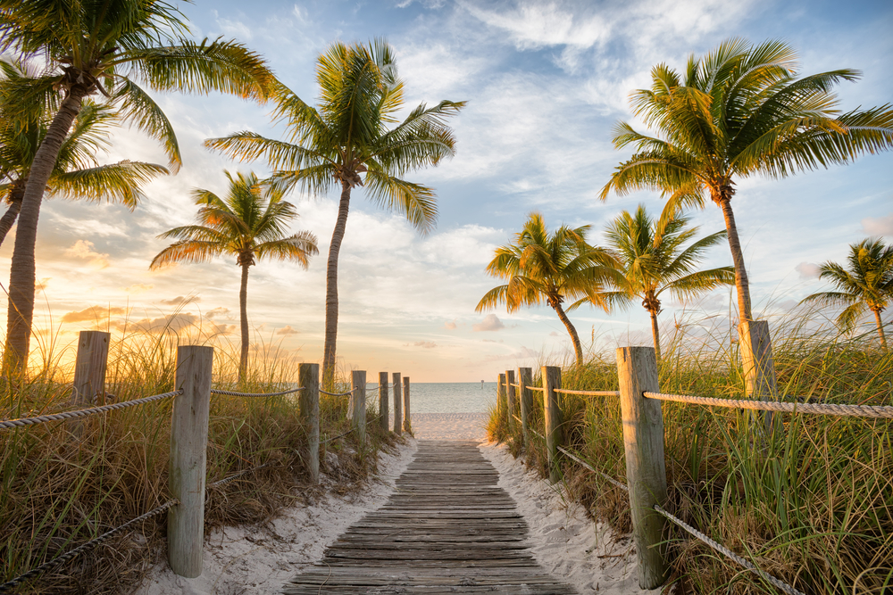 A wooden walk way features one of the many sunrises in Florida with soft yellow and orange hues, along with beach brush. 