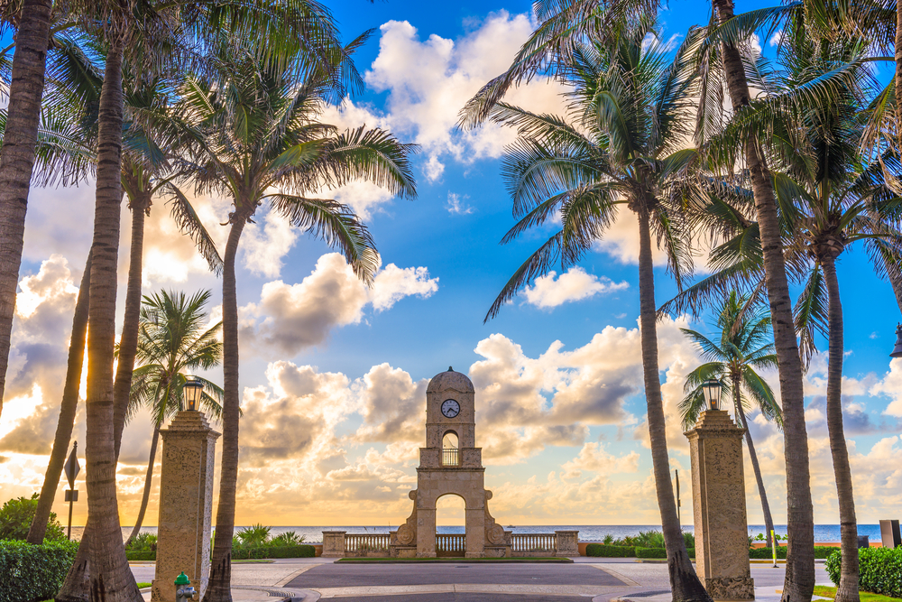 The famous clock tower in Palm beach is light with the soft light of a sunrise as it is surrounded by palm trees. 