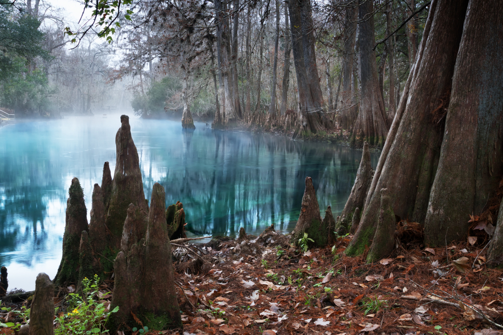 A fine mist settles over one of the natural springs in Florida: many people don't think of the springs as a place to view sunrises in Florida, but it offers a different perspective.