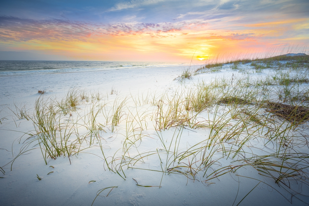 Seagrass pokes from between the white sand at this beach, and in the distance, a soft, yell sun sets, making it one of the most stunning sunsets in Florida. 
