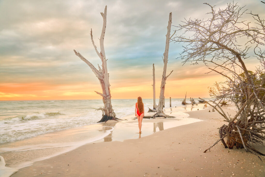 A woman in a red bathing suit stands between two trees that look almost like drift wood. In the back, soft yellow and oranges color the sky, making it one of the prettiest sunsets in Florida. 