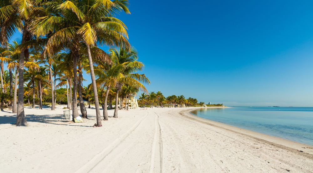 This photo sows an empty Crandon Beach State Park: the white sand stretches around the curve of the ocean, and green plans provide shadows on the beach. 