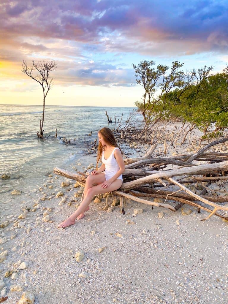 a girl In a white swimsuit sitting on driftwood logs at sunset on Honeymoon Island