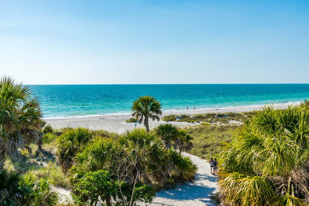 Caladesi Island is one of the best day trips from Tampa, with sandy path surrounded by palm trees leading down to the turquoise waters