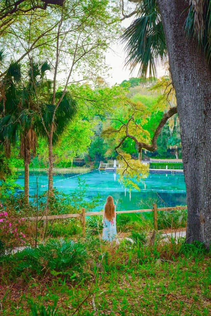 a girl in a dress standing by a wooden fence surrounded by palm trees and oak trees overlooking  the turquoise clear water of Rainbow Springs in Florida