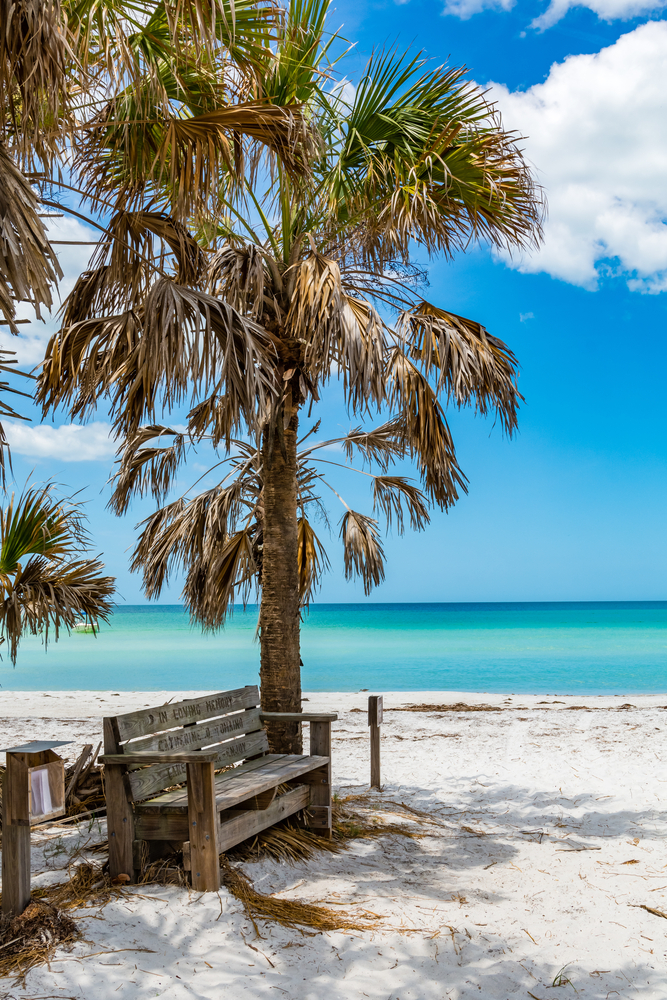 Caladesi Island with turquoise waters, palm tree and wooden park bench 