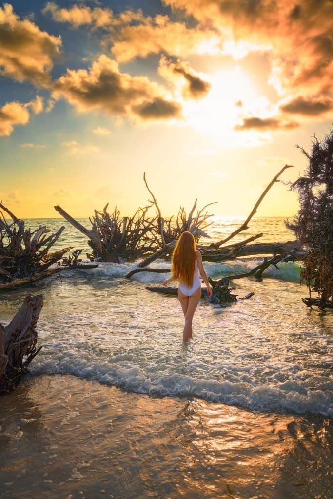 a girl in white swimsuit standing in the water on Beer Can Island surrounded by the washed up tree roots in the water at Sunset