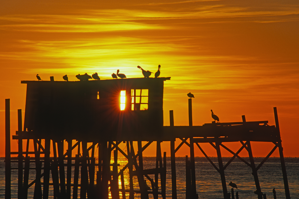 a silt house in Cedar Key at sunset with birds on the top of the wooden home built over the ocean 