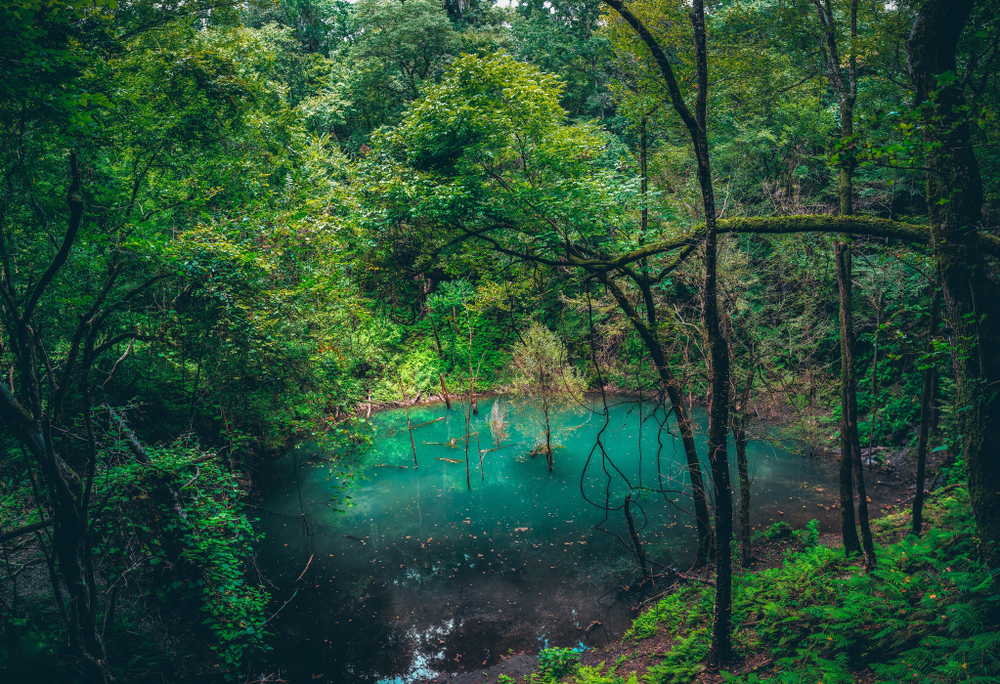 Devils millhopper Gainesville Florida. Sink hole with a pretty waterfall 