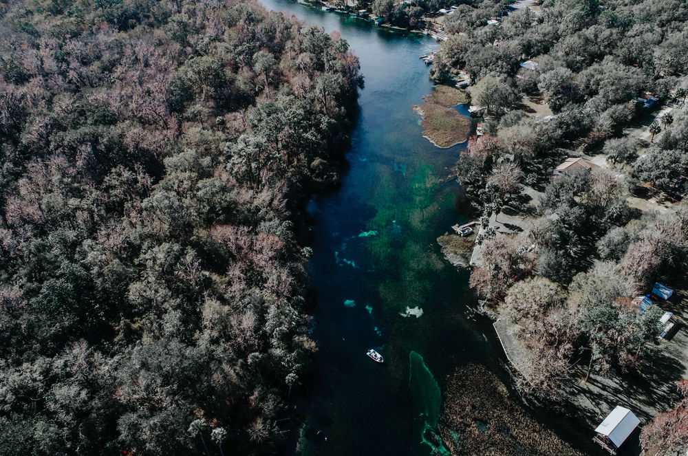 Weeki Wachee Springs seen from above with the spring fed water run carved out between the Ocala national forest 