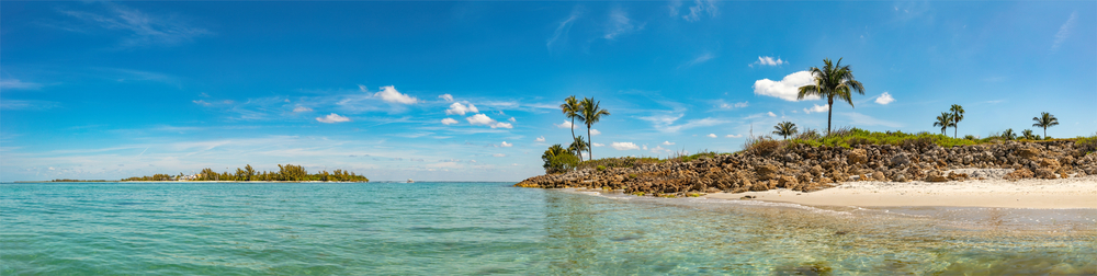 one one of the many beaches on Captiva Island with rocks and palm trees and crystal clear water