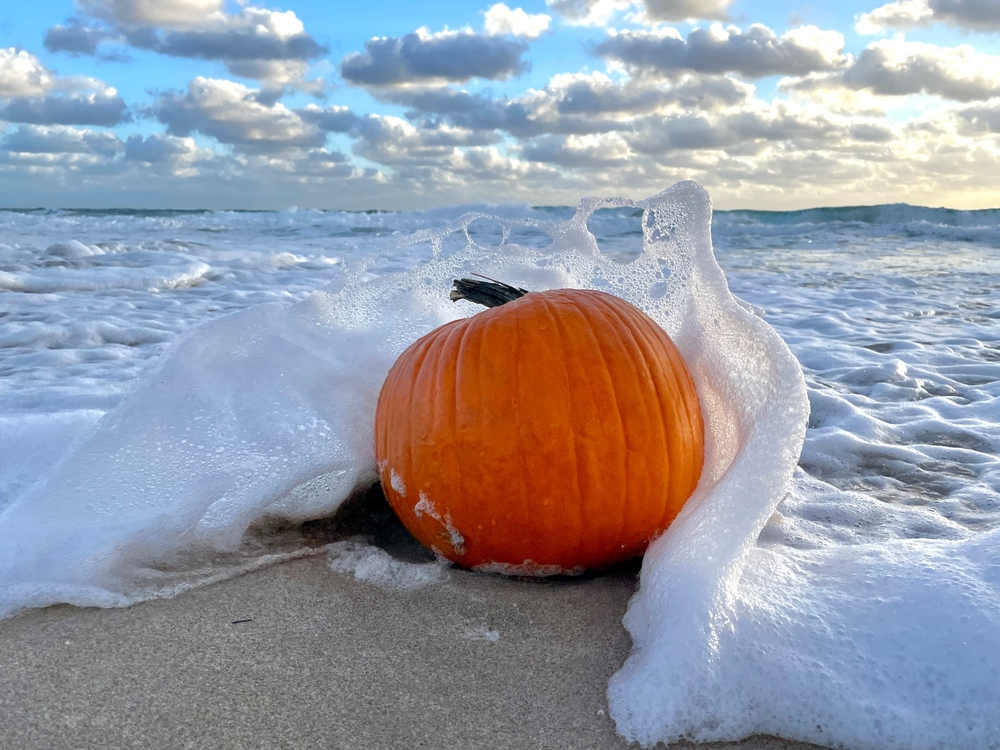 waves crashing up against a pumpkin on a beach in florida in autumn