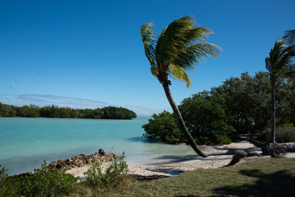 Photo of a beautiful island, surrounded by the turquoise water's of Biscayne National Park, a National Park in Florida