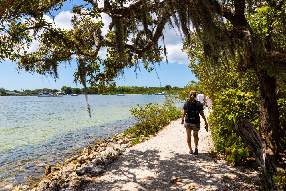 a woman walking on a pathway next to water, trees are overhead on a sunny day 