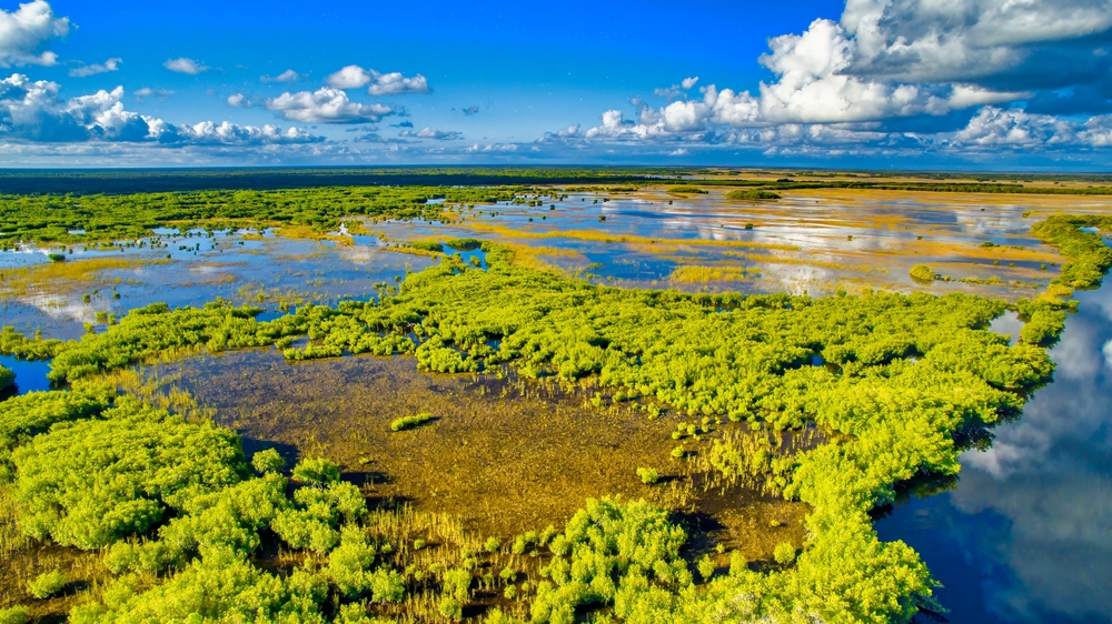 aerial phot of the everglads national park, clouds in the sky 