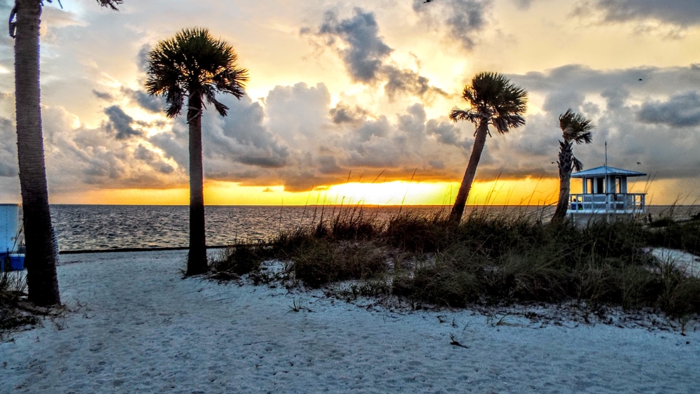 a life guard stand on the beach with palm trees near it at sunset, clouds are in the sky 