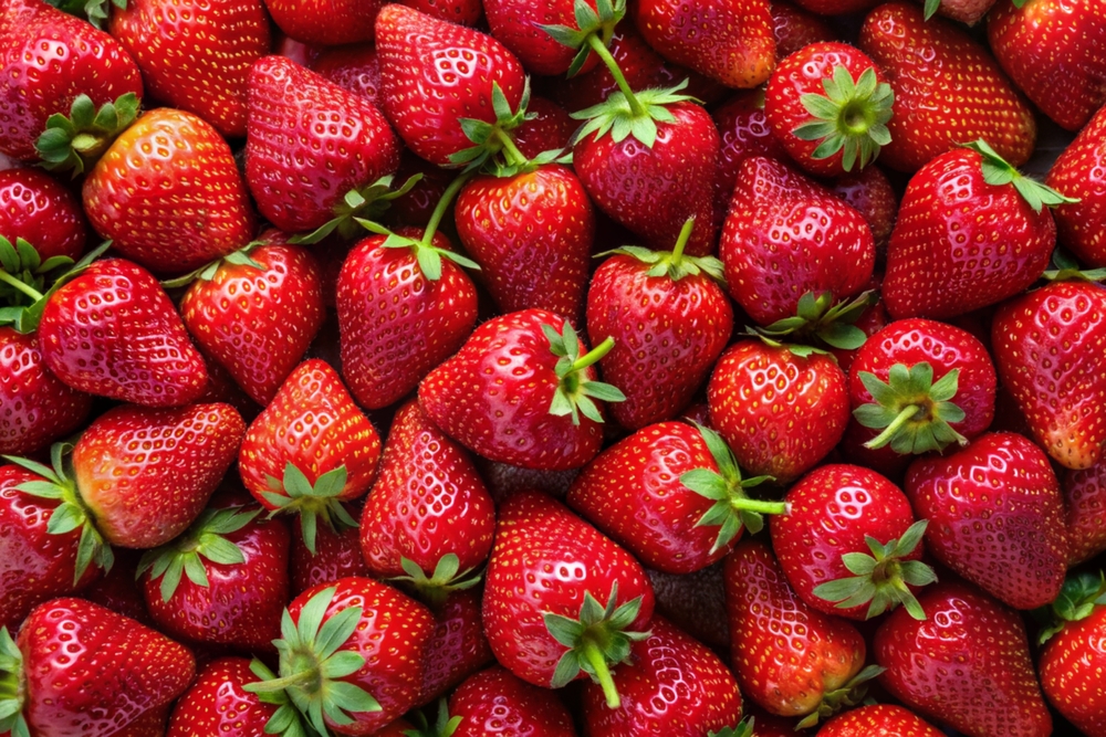 photo is full of fresh vibrant red strawberries with leaves and stems still attached 