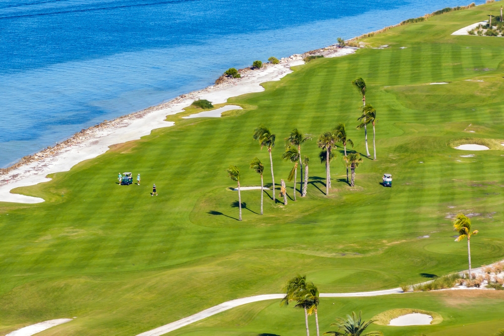 aerial photo of a golf course in florida, there are palm trees in the middle of the course and some small sand traps around it, water is in the background